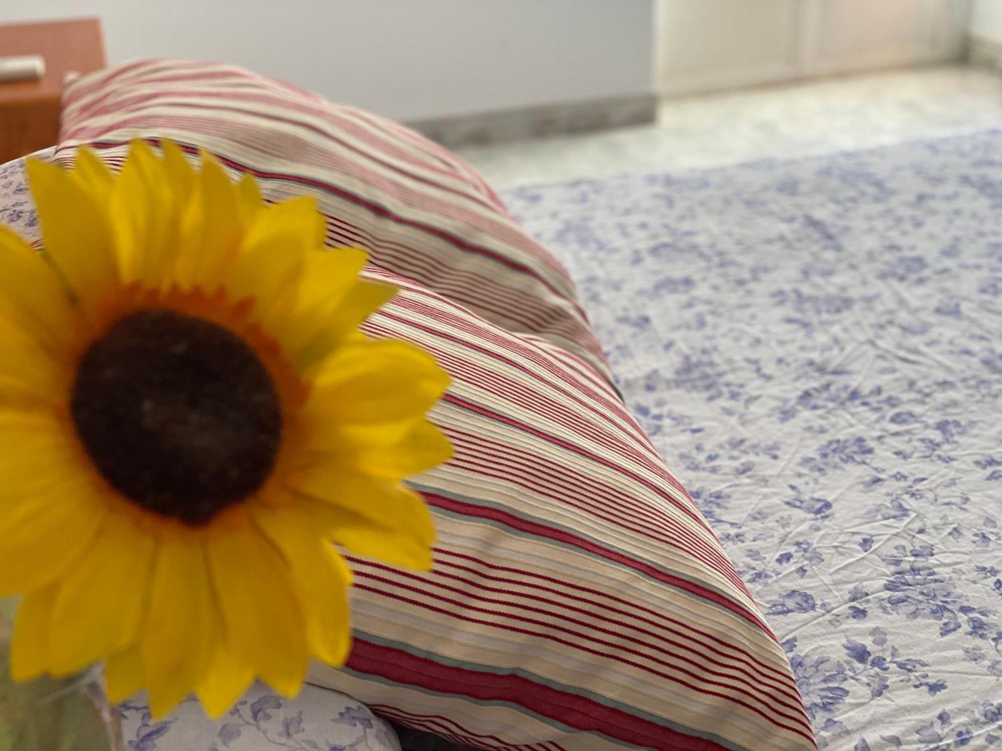 Torremocha Casa Rural Valle Secreto מראה חיצוני תמונה