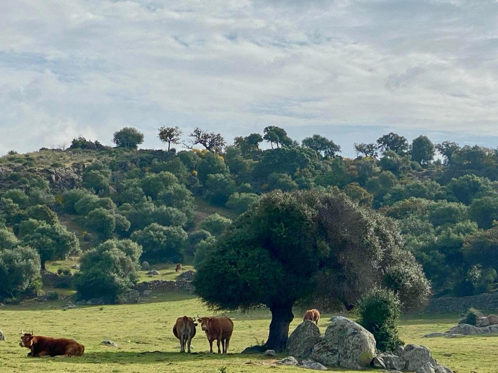 Torremocha Casa Rural Valle Secreto מראה חיצוני תמונה
