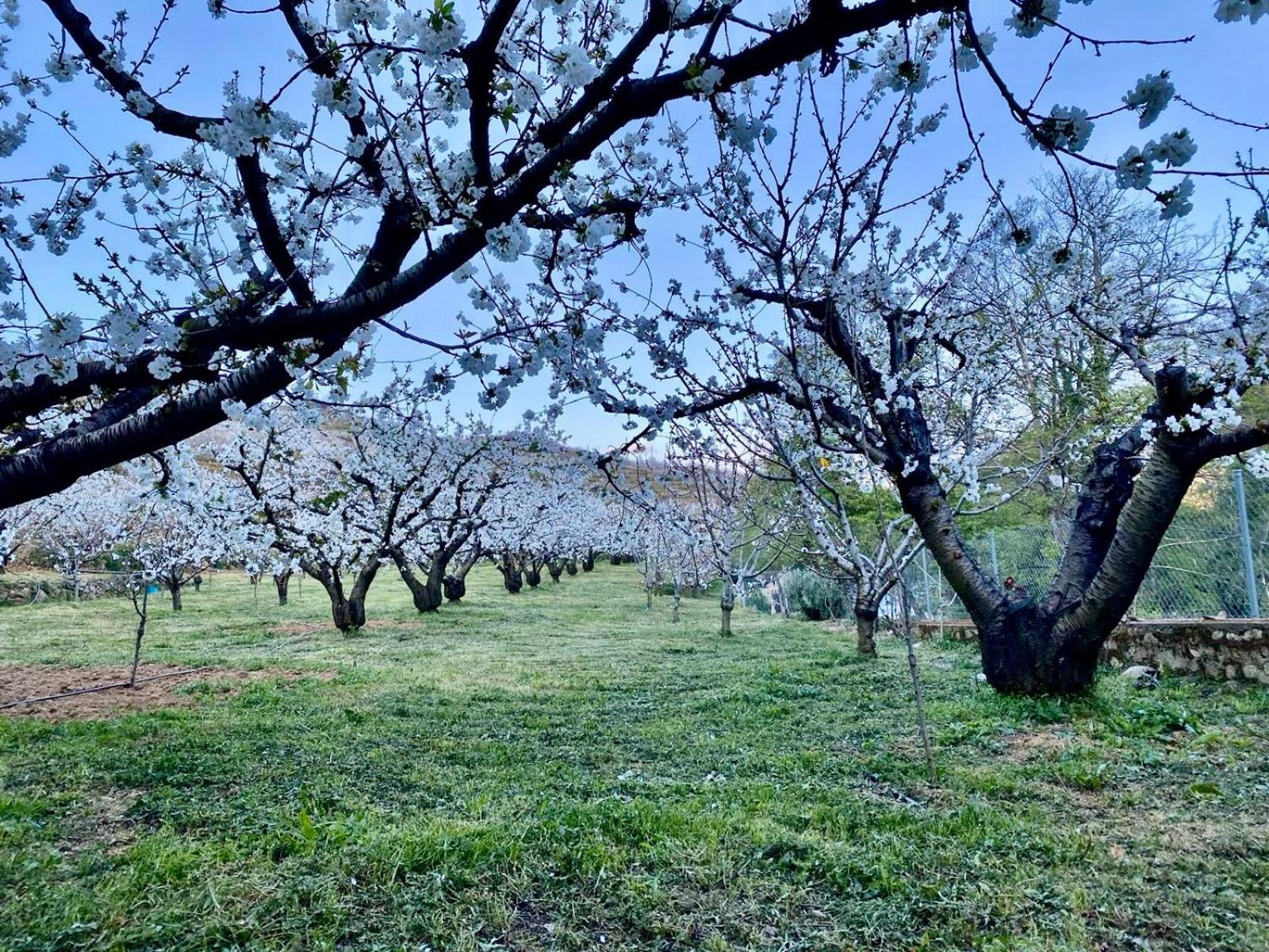 Torremocha Casa Rural Valle Secreto מראה חיצוני תמונה